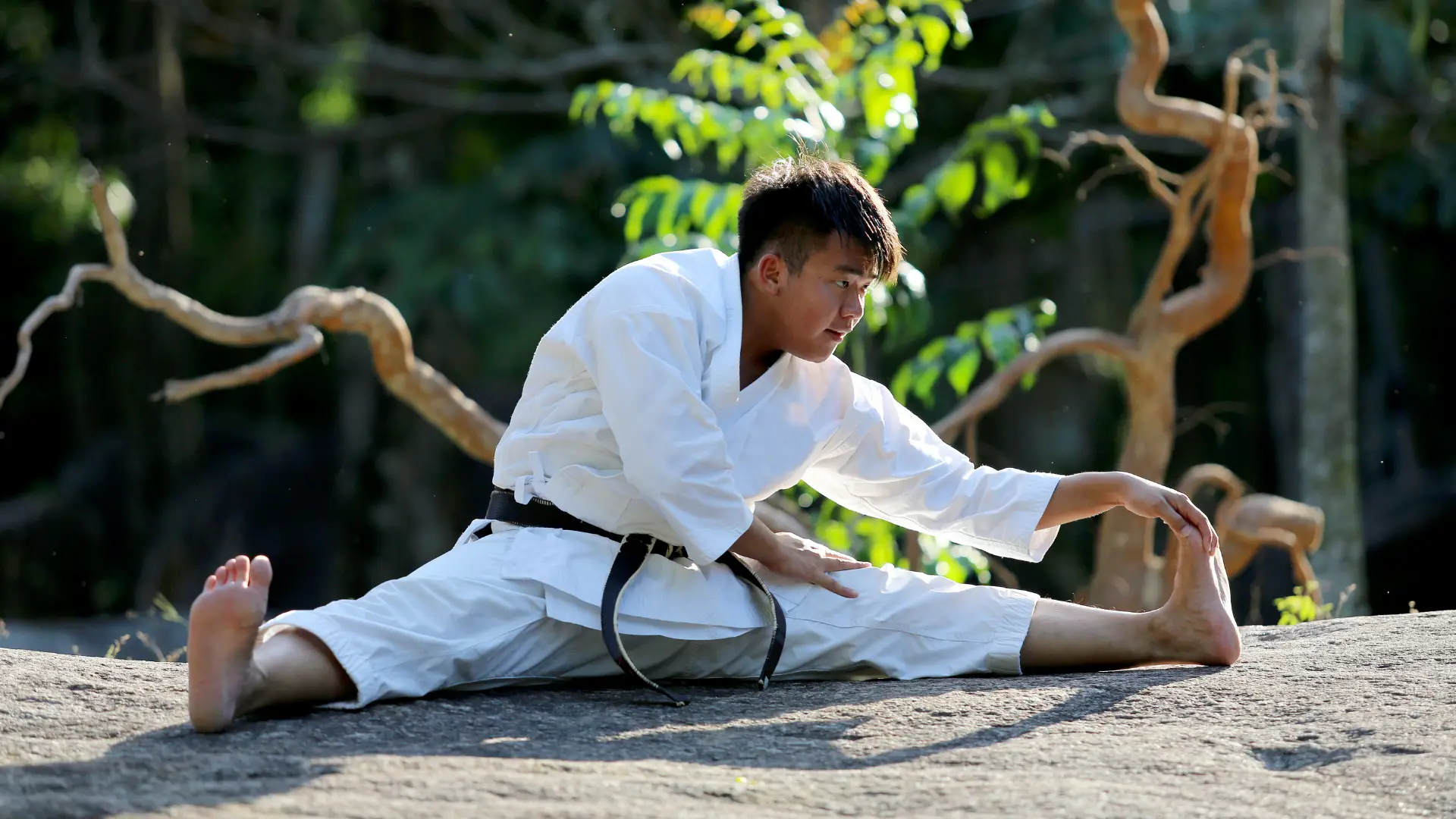 Is Taekwondo Effective In MMA_