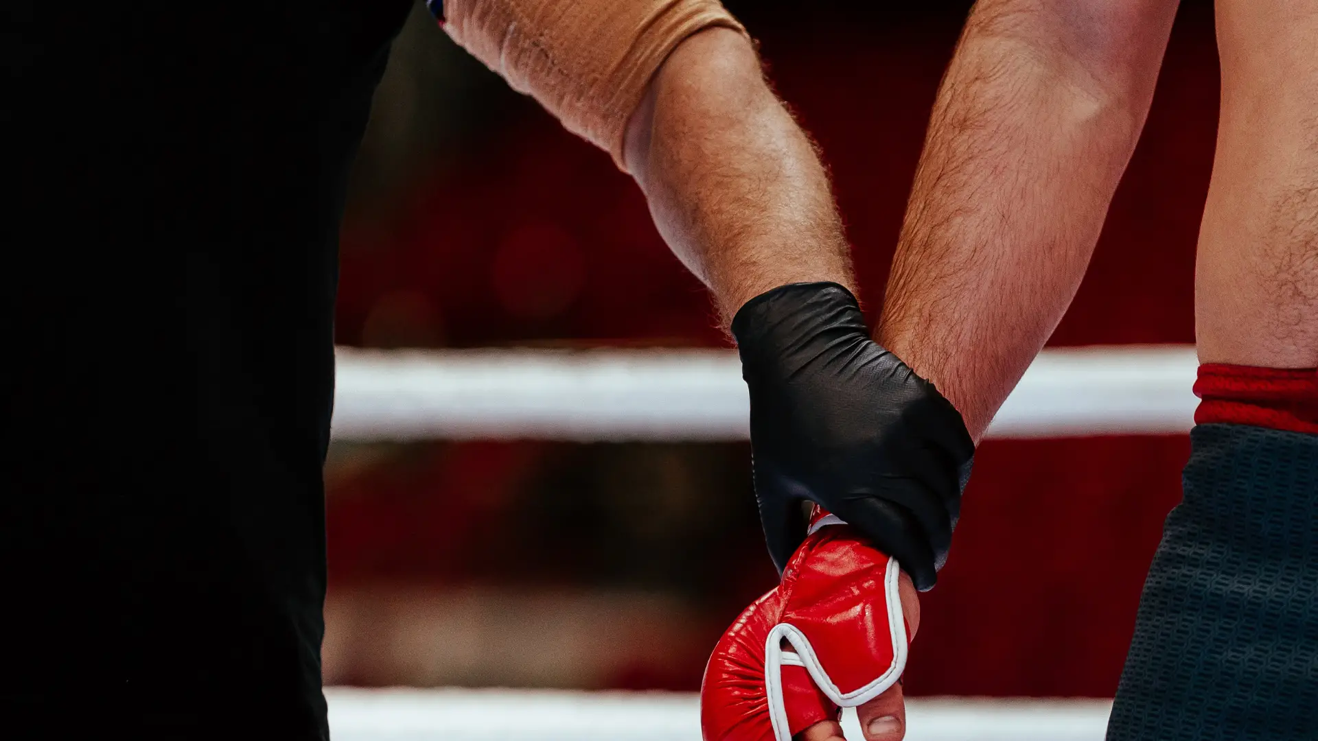 Why Do MMA Referees Wear Gloves